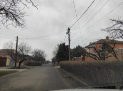 «В ход идут деревья» - жители улицы Плеханова плевали на действия администрации Таганрога