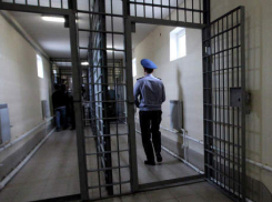 С начала 2016 года 42 человека попали за решетку за наркотики