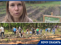 МКУ «Благоустройство» Таганрога аварийные деревья не трогает, зато саженцы косит