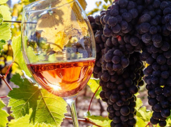 Урожаи винограда в Ростовской области растут