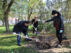 В Таганроге прошла масштабная экологическая акция по озеленению города