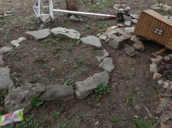 «Сломать, разбить, вырвать» - за ночь уничтожили красоту возле детской библиотеки Таганрога