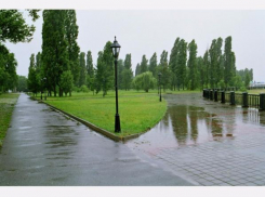 Дождливая и ветреная неделя ждет жителей Таганрога