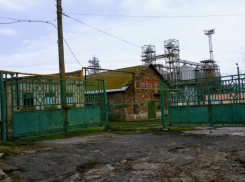 Рыбкомбинат – еще одно потерянное предприятие Таганрога