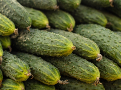 Огурцы снова могут взлететь в цене, а ряд продуктов исчезнуть с полок магазинов