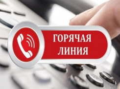 Вопросов о выплатах и пособиях ждут сегодня от таганрогских семей с детьми на «горячей линии» 