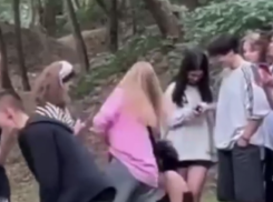 В Таганроге семеро несовершеннолетних стали фигурантами дела об избиении школьницы