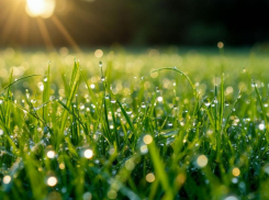 25 июля 2025: советы таганрожцам как провести его с пользой и чего избежать