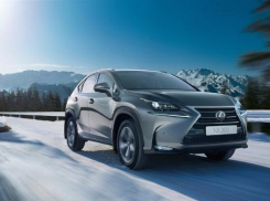 Таганрогских мажоров оставят без колес