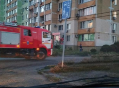Виновницей возгорания в квартире в Таганроге стала черепашка