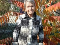 Благодаря бдительным таганрожцам, за час нашли пропавшую пенсионерку