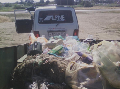 Неравнодушный таганрожец самостоятельно убрал прибрежную зону