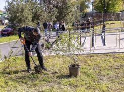 Не только прибрались, но и озеленили: как Таганрог встретил Всероссийский субботник в сквере «Почтовый»