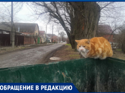 (Не)благоустройство «Северного»