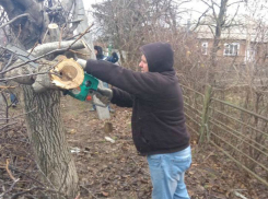 Таганрожцы помогли привести в порядок центральную улицу в Греческих ротах