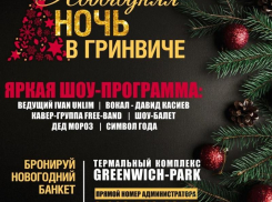 Новый год в компании GREENWICH-PARK*