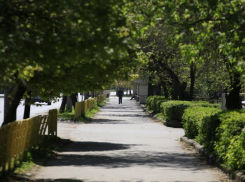 Теплая осень продолжится в Таганроге на следующей рабочей неделе