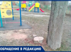 Таганроженку обеспокоила вырубка здоровых с виду деревьев