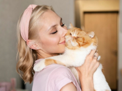 Что такое День нежности и как отмечают его 3 февраля