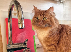 Сегодня сотни жителей Таганрога остались без воды 