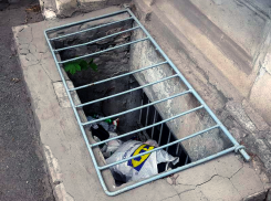 Дефицит культуры в Таганроге: приямки превратились в мусорные баки 