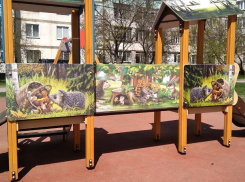 Детям Северного не хватает спорта? Разбираемся с площадками Таганрога