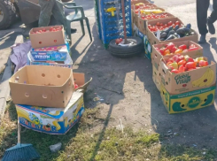 «Овощной круиз» в полицию: власти Таганрога снова штурмовали нелегальных торговцев