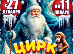 Соберите всю семью и поверьте в чудо