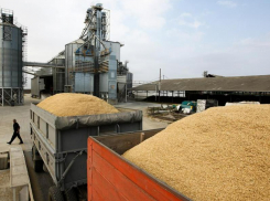 Таганрогский зерновой терминал намерена перекупить компания «Русские фонды»