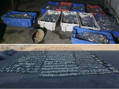 Под Таганрогом задержали браконьера с 2 тысячами рыб 