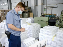 Избирком Дона получил бюллетени для голосования по поправкам в Конституцию