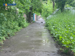 Детский сад Таганрога окружен травой по пояс 