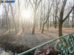 Архитекторы «ДОМ. РФ» готовы ответить на вопросы таганрожцев о реконструкции Дубков