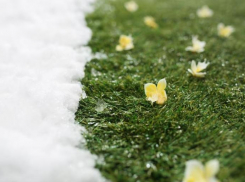 15 февраля - Сретенье 