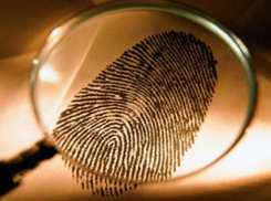 Полиция Таганрога начала розыск подозреваемого в изнасиловании несовершеннолетней