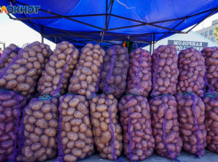 К весне подешевеет: эксперты прогнозируют снижение цен на картофель в Таганроге и области