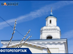Вербное воскресенье в Таганроге: священные моменты и общая радость