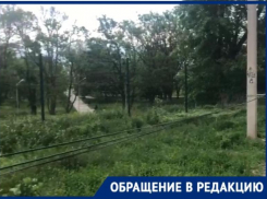 Одинокий провод у Приморского парка беспокоит таганрожцев