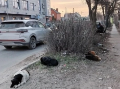«Это — туристический Армаггедон»: таганрожцы показали запустение возле Старого вокзала