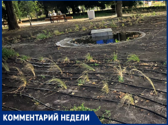 Озеленение набережной в Таганроге: чего стоит ждать