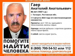 В Таганроге пропал 86-летний Гаер Анатолий 
