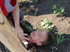 Следственный комитет возбудил уголовное дело в отношении мужчины, укравшего ребенка в Матвеево-Курганском районе