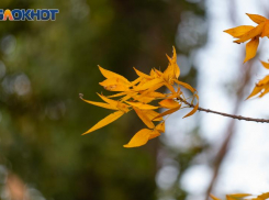 Главные советы для таганрожцев, чтобы провести день Лонгина Сотника правильно