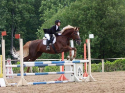 В Таганроге стартуют соревнования по конкуру на кубок мэра