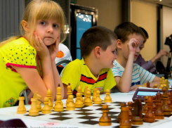В Таганроге начались  соревнования по шахматам памяти Владимира Дворковича