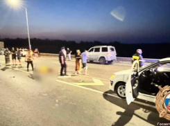 Трагедия на трассе: пешеход погиб под колёсами иномарки между Ростовом и Таганрогом