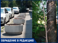 «А нужно нам такое древонасаждение?» - интересуются читатели 