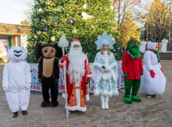 Главную городскую елку открыли в Таганроге