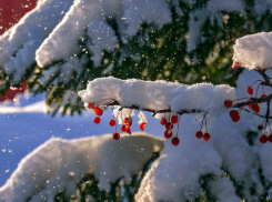 Погода в Таганроге на предстоящий выходной день