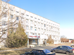 В Таганроге родилась 12-я двойня за год